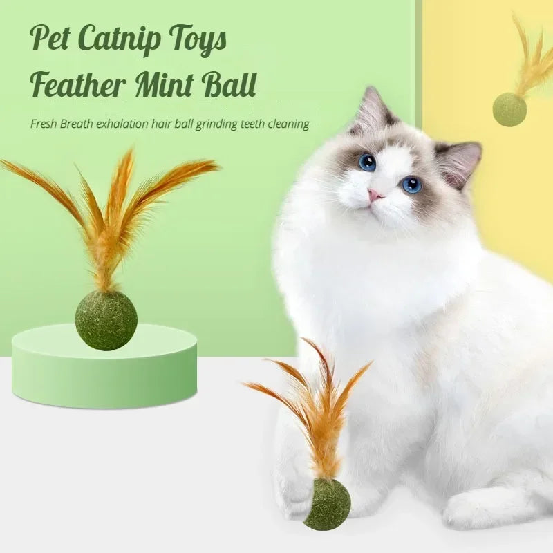 Pet Catnip Toys Cat Mint Ball Edible Catnip Ball Safety Healthy Cat Mint Cats Home Chasing Game Toy Products Clean Teeth