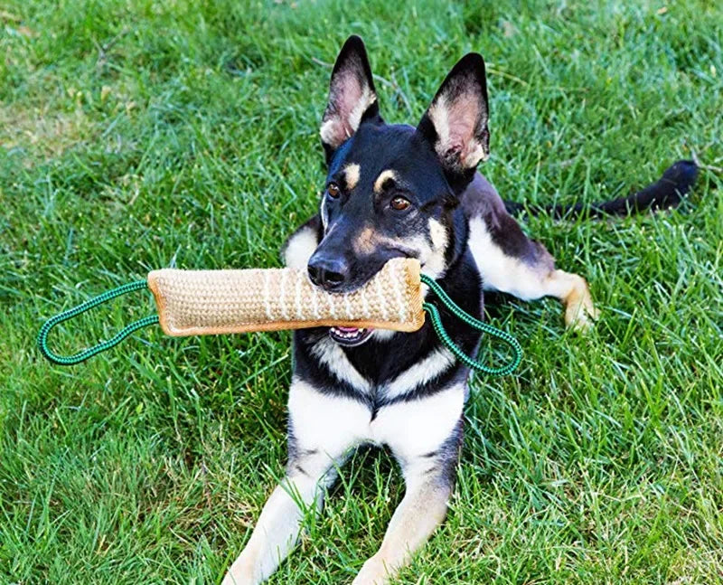 Durable Dog Training Tug Toy Dog Bite Stick Pillow Puppy Toy with Rope Handles Large Dog Training Interactive Play Chewing Toys