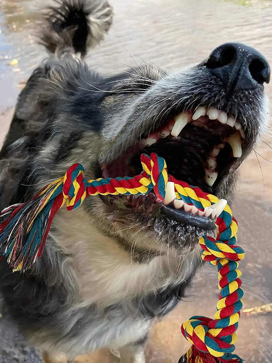 Dog Bite Rope Toys Pet Grind Tooth Toys Cotton Rope Material Harmless Dogs Tooth Cleaning Toys Pet Dog Rope Toys