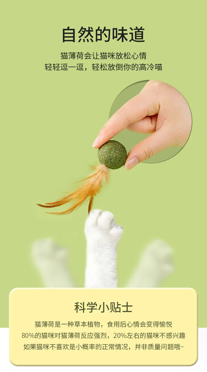 Pet Catnip Toys Cat Mint Ball Edible Catnip Ball Safety Healthy Cat Mint Cats Home Chasing Game Toy Products Clean Teeth