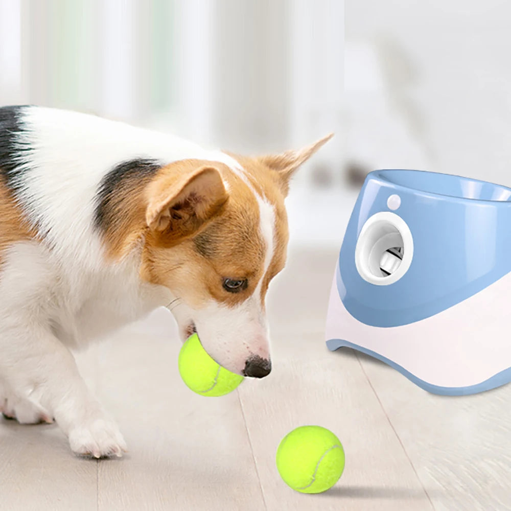 Automatic Dog Tennis Ball Launcher Pets Interactive Toy Outdoor Training Tennis Catapult Pinball Thrower with Treat Dispenser