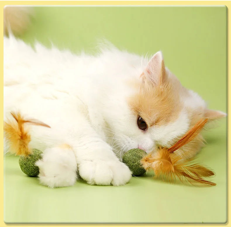 Pet Catnip Toys Cat Mint Ball Edible Catnip Ball Safety Healthy Cat Mint Cats Home Chasing Game Toy Products Clean Teeth