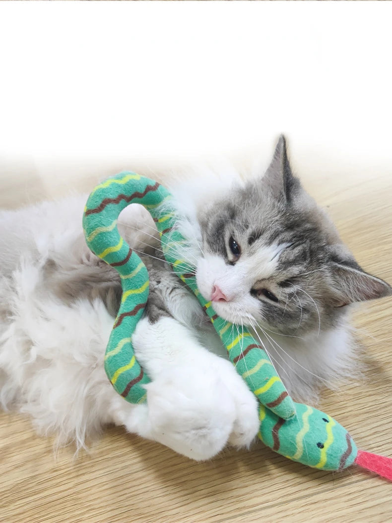 Catnip Toy Interactive Toy Plush Cat Toy Gluttonous Snake Bite-Resistant Molar Interactive Toy Gift For Cat Pet Accessories